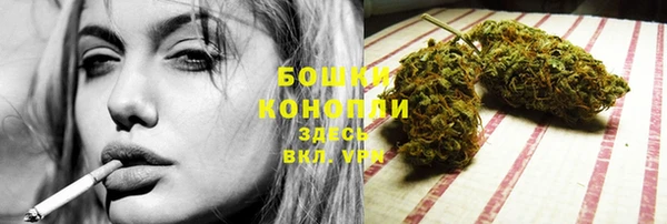 эйфоретик Бородино