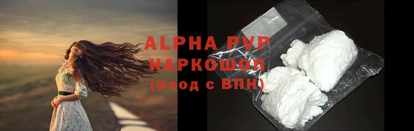 эйфоретик Бородино