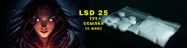 винт Бронницы