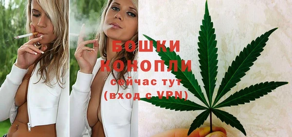 винт Бронницы