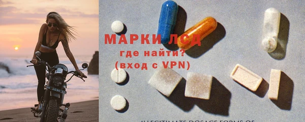 эйфоретик Бородино