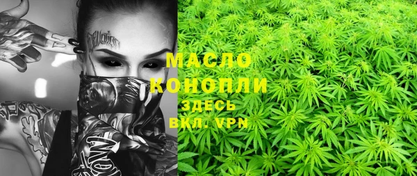 эйфоретик Бородино