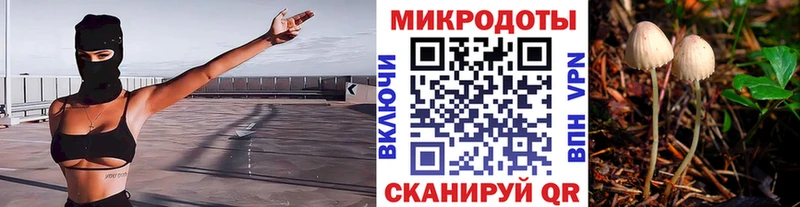 Псилоцибиновые грибы Psilocybine cubensis Демидов