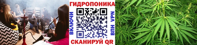 Конопля планчик  магазин продажи   Демидов 